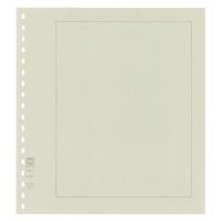 Blankobltter, grauer Karton 10er-Packung 272 x 296 mm