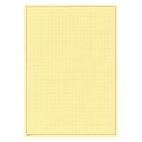 Blankobltter, gelber Karton ohne Lochung, 10er-Packung mit Netz, DIN A4