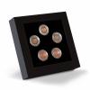 LED-Prsentationsrahmen fr 5 dt. 5-Euro-Sammlermnzen in Kapseln