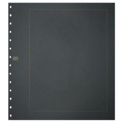 Karton-Blankobltter 793, schwarz, mit Goldrand - im 10er Pack