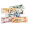 Banknoten-Schutzhüllen BASIC 140, 146 x 84 mm